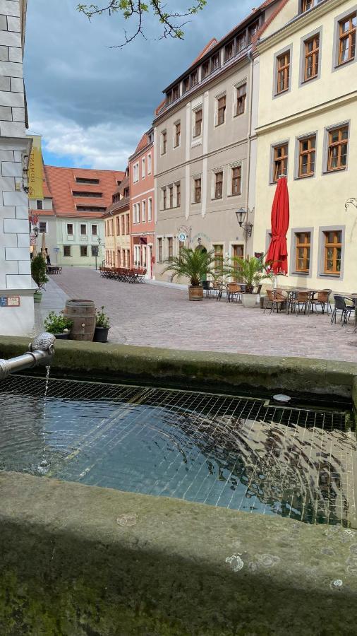Ferienwohnung Gottleubapark Apartment Pirna Bagian luar foto